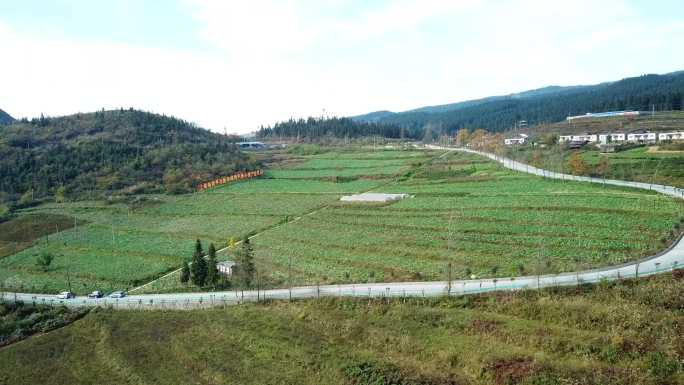 农村 山田 菜园 菜田