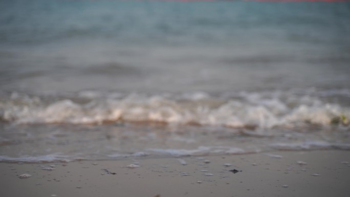 浪花特写海浪海水冲击沙滩浪花泡沫