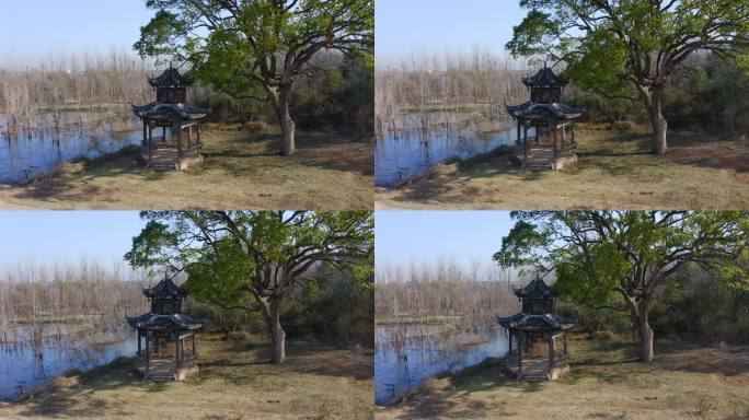 吉水桃花岛航拍素材