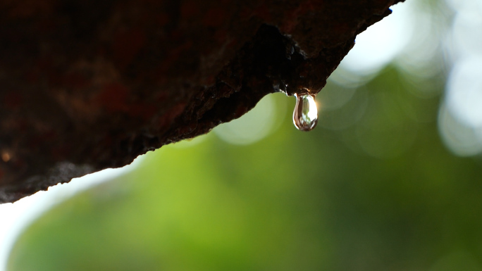 岩石上的水滴缓慢落下水珠滴水慢动作