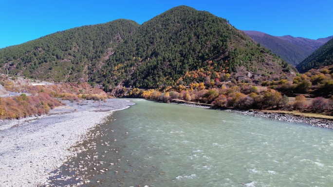 川西金黄色的秋天和河流