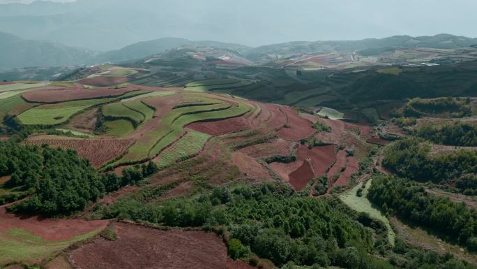 云南旅游农业宣传风光东川红土地梯田