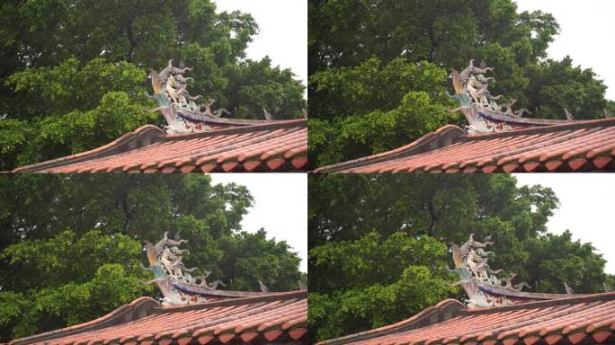 古建筑屋檐上的鸽子站在房檐燕尾脊上的鸽子