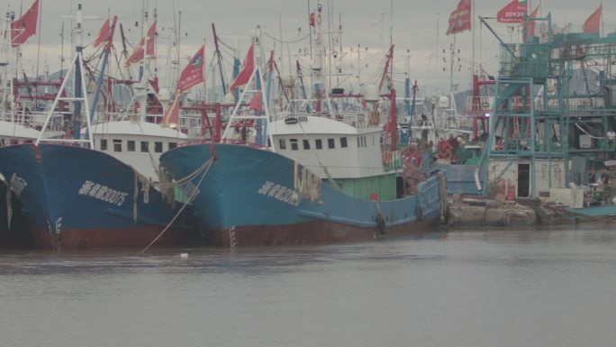 海港整齐的渔船