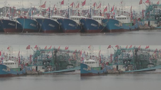 海港整齐的渔船