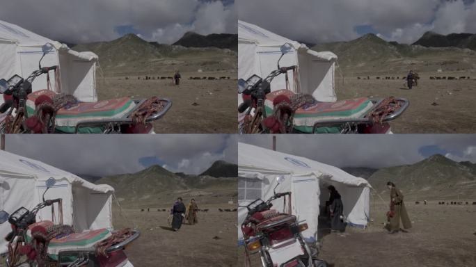 青藏高原 藏族牧民日常生活