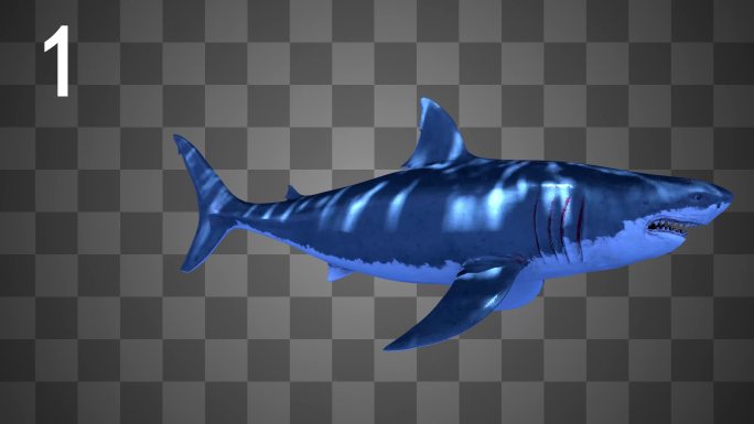 【Alpha通道】4K鲨鱼3组 大白鲨