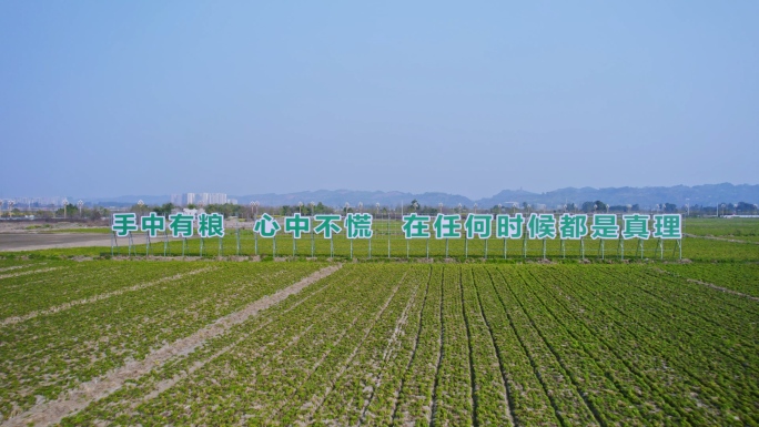 粮食安全口号标语