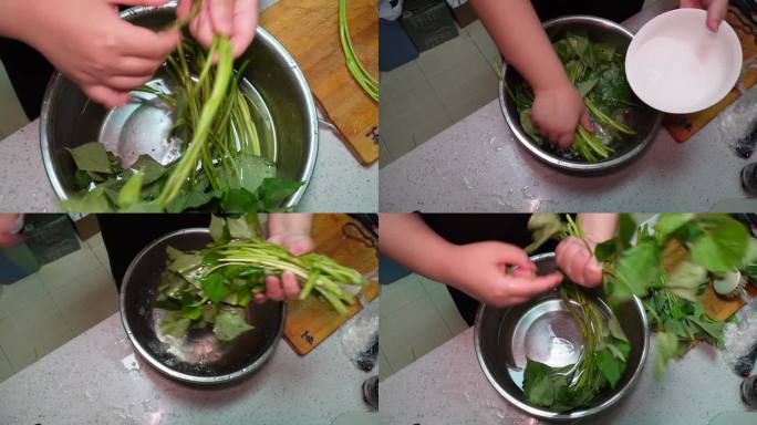 镜头合集清洗红薯苗白薯秧野菜蔬菜(1)