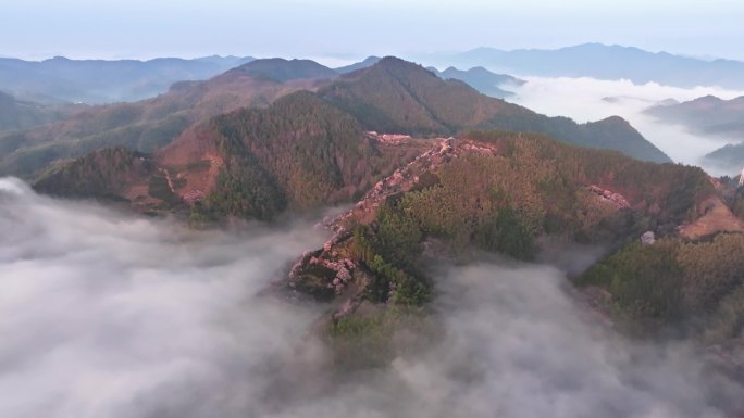 卖花渔村云海