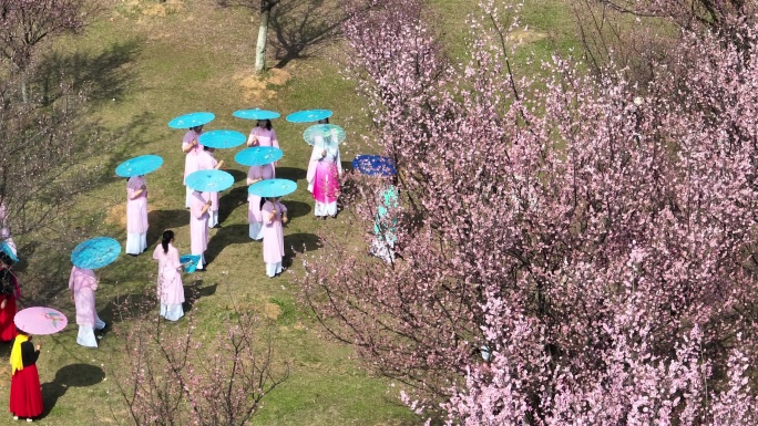 春光正好时 市民踏青赏花