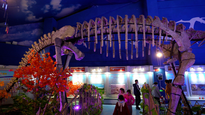 恐龙博物馆，恐龙公园