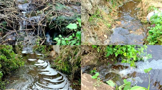 污水排放   废水  河水污染