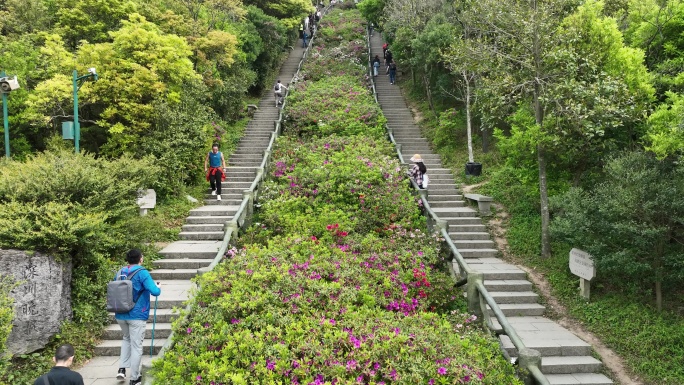 登山道楼梯航拍