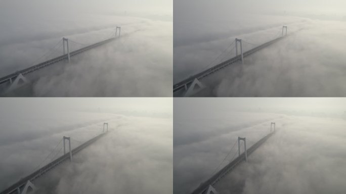 跨海大桥平流雾