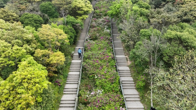 深圳梧桐山好汉坡航拍