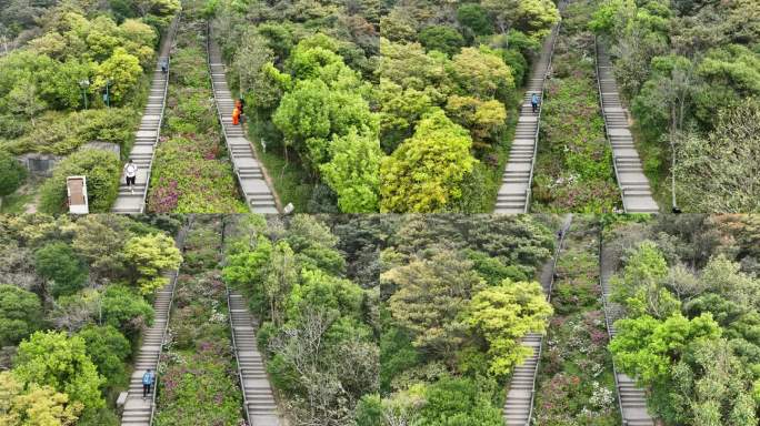 深圳梧桐山好汉坡航拍