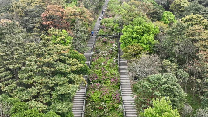 登山道航拍