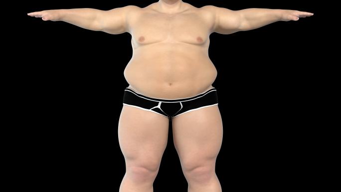 男人瘦肚子瘦身变瘦肥胖变肌肉男3D带通道