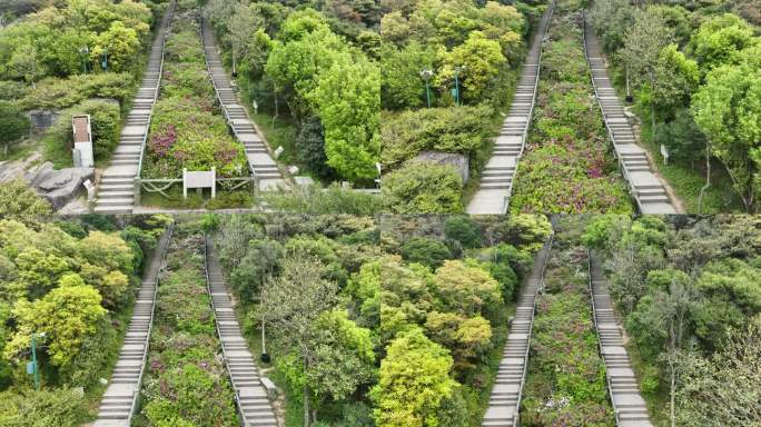 深圳梧桐山好汉坡