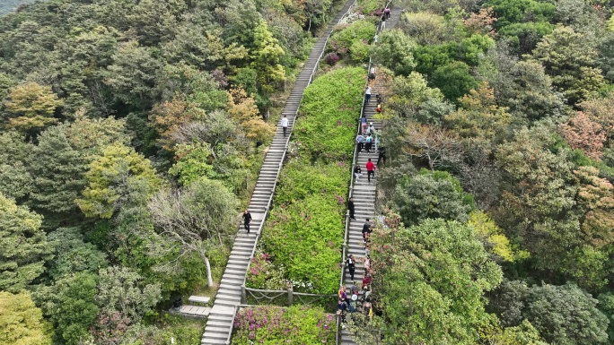 登山楼梯航拍