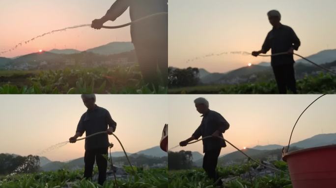 农民锄地淋菜农民喷淋写意剪影夕阳背影