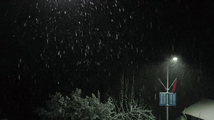 小院里路灯下飘雪视频