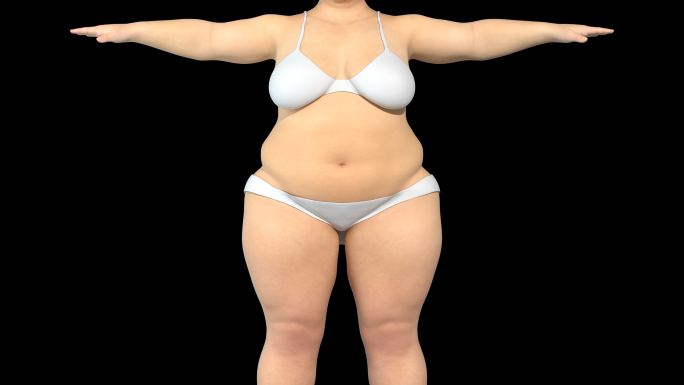女性变瘦3D动画女人瘦身瘦肚子带通道