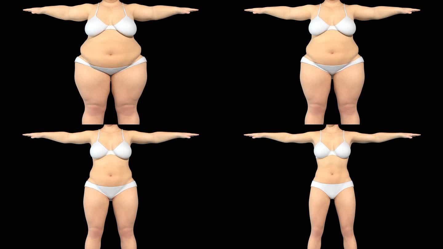 女性变瘦3D动画女人瘦身瘦肚子带通道