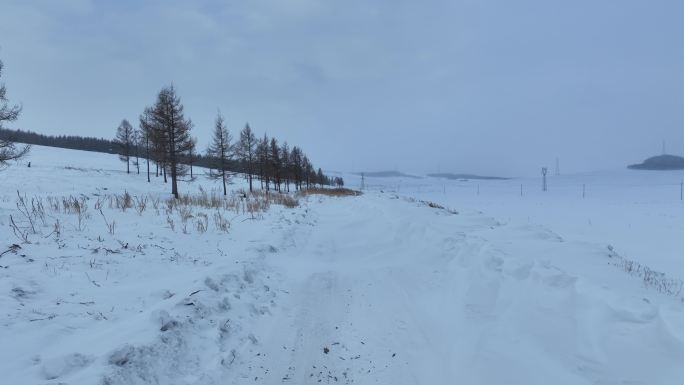 雪花飘落山路积雪封路