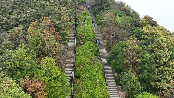 登山道航拍