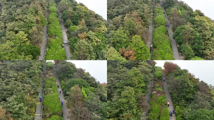 登山道航拍