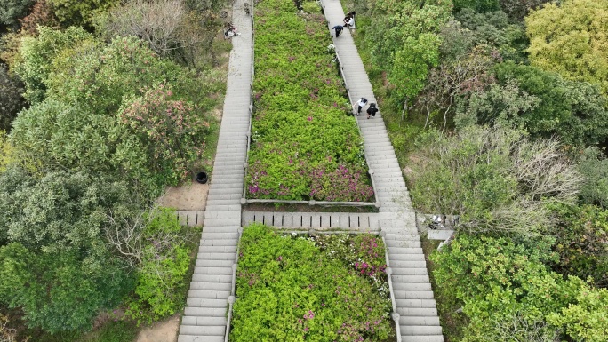 登山道