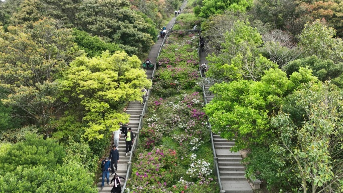 登山道