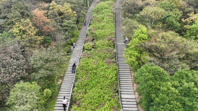 登山道航拍