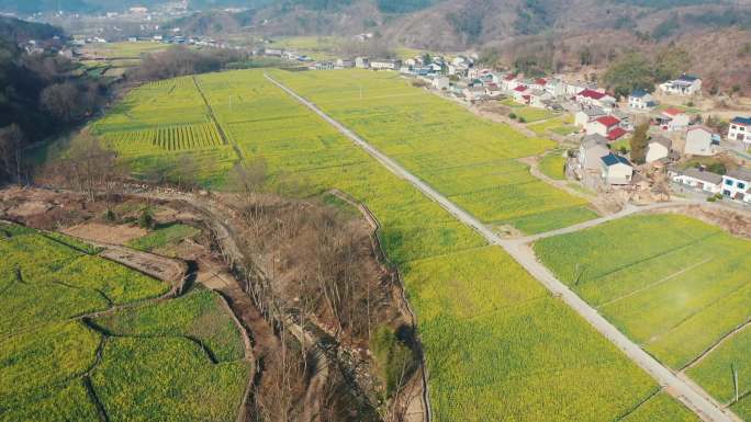 大片油菜花航拍新农村建设美丽中国美丽乡村