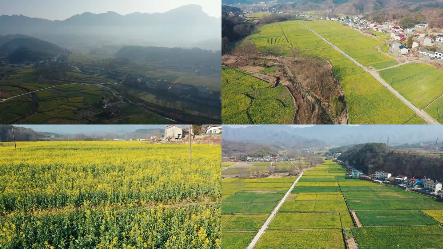 大片油菜花航拍新农村建设美丽中国美丽乡村