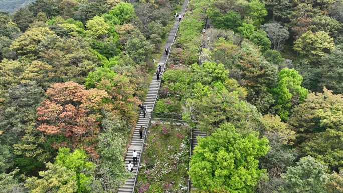 登山道