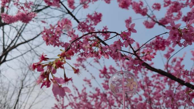 四川成都新都漫花庄园