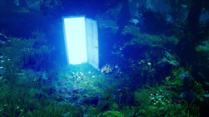 森林空间之门05