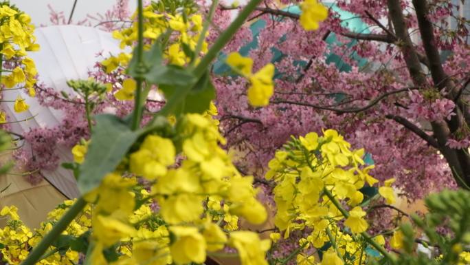 四川成都新都漫花庄园