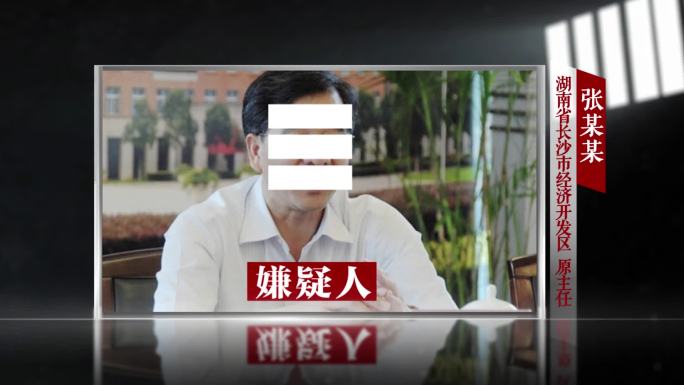 反腐警示教育采访视频框