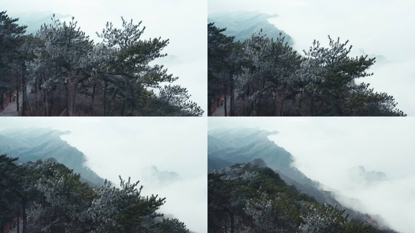 庐山雾凇风光