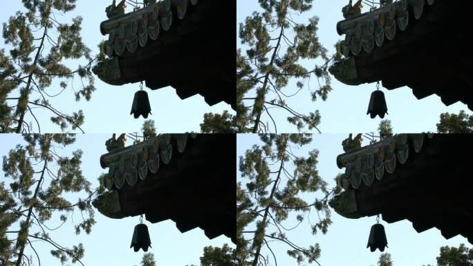 北京秋天 大觉禅寺 千年古刹  风铎