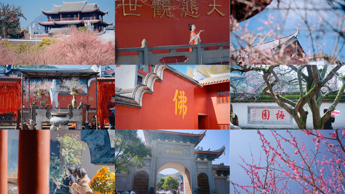 林阳禅寺梅园梅花寺庙烧香拜佛梅花红墙古寺