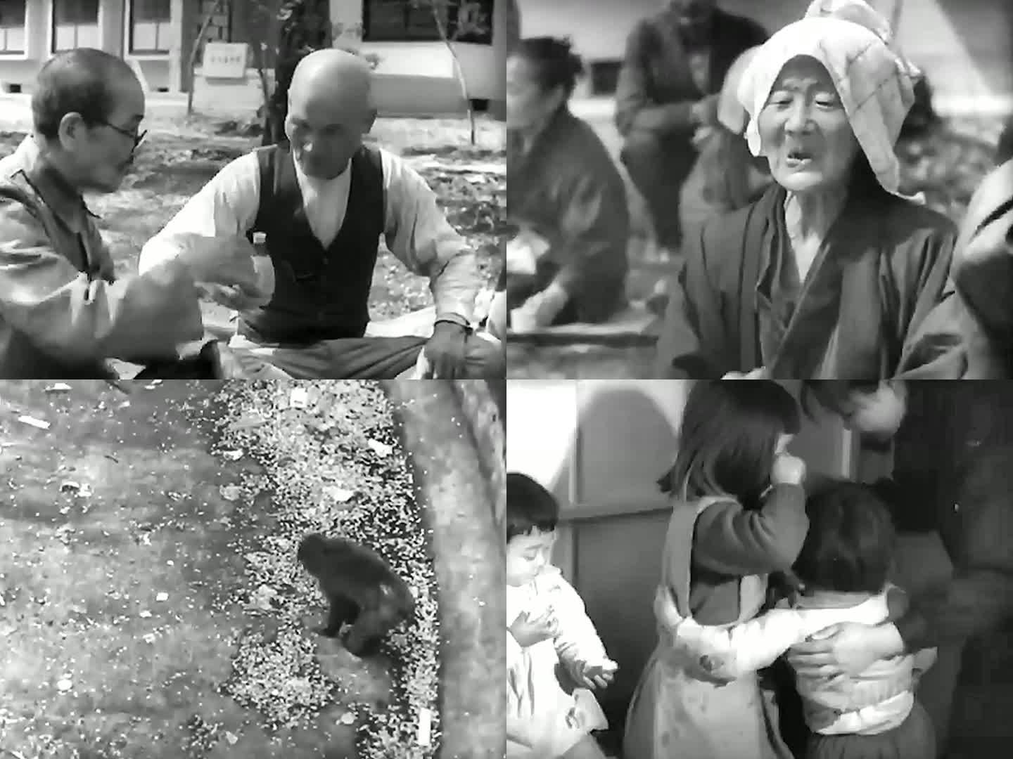 1952年日本观赏樱花 走失儿童