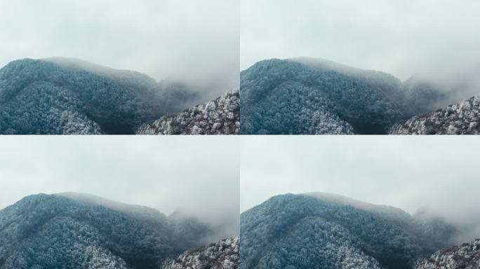 庐山汉阳峰云海雾凇风光