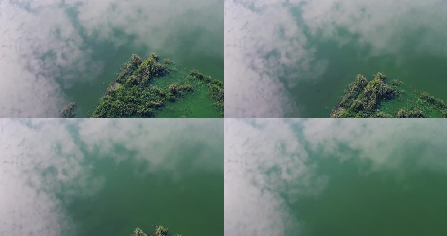 春天绿色清澈湖面白云倒影