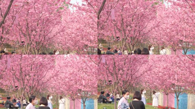 四川成都新都漫花庄园