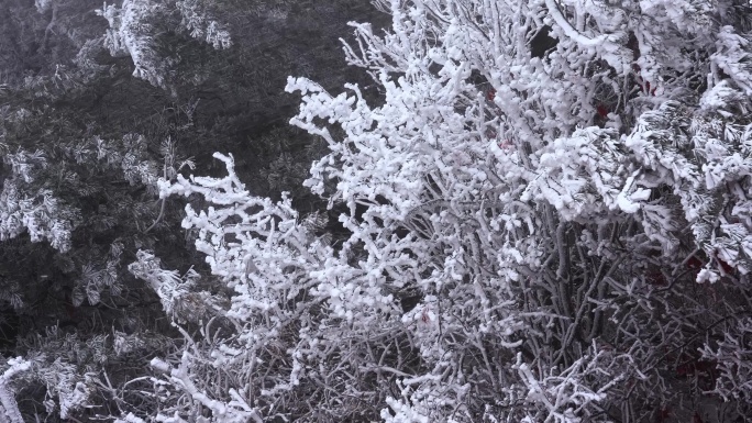 狂风大雪冬季极度寒冷